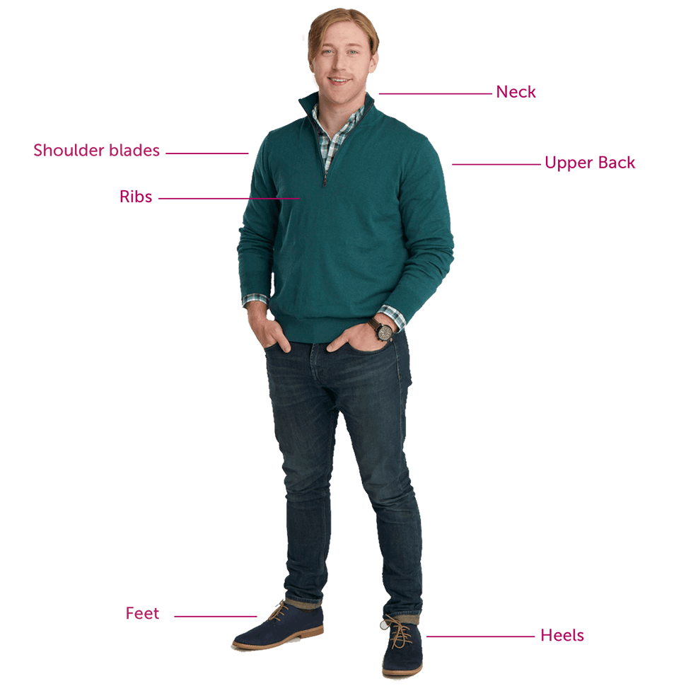 Chart of a male standing with body parts name in plum.