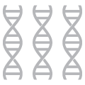 Three DNA icon depicting possible ankylosing spondylitis risk factor- genetics.