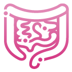 Illustration of a digestive system