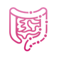 Inflamed intestines icon