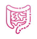 Inflamed intestines icon