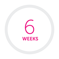 6 weeks written inside of a light grey circle.