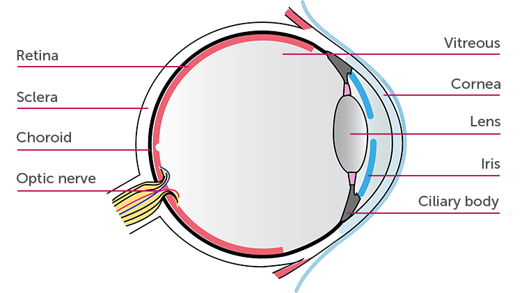 Histoplasmosis Eye Chart